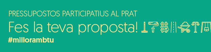 Imatge gràfica Pressupostos participatius, 2017