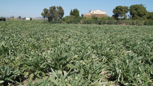 El Prat, ciutat fundadora de la "Red de Ciudades por la Agroecología"