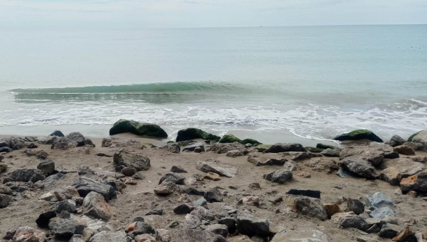 platja prat regressio (maig 2022)