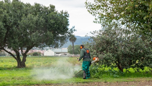 Alumne de FP Agrària a Can Comas (Parc Agrari del Baix Llobregat)