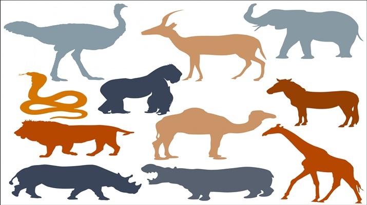 Hora conte Anna García