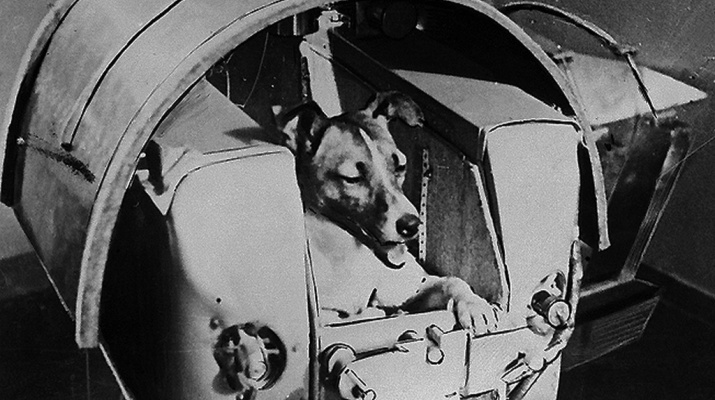 PROJECTE LAIKA PROJECTE LAIKA