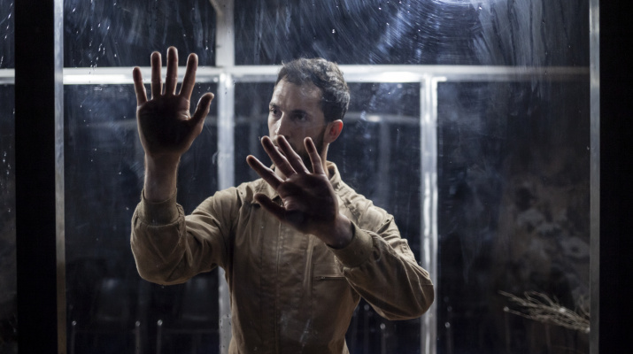 Crisálida Crisálida