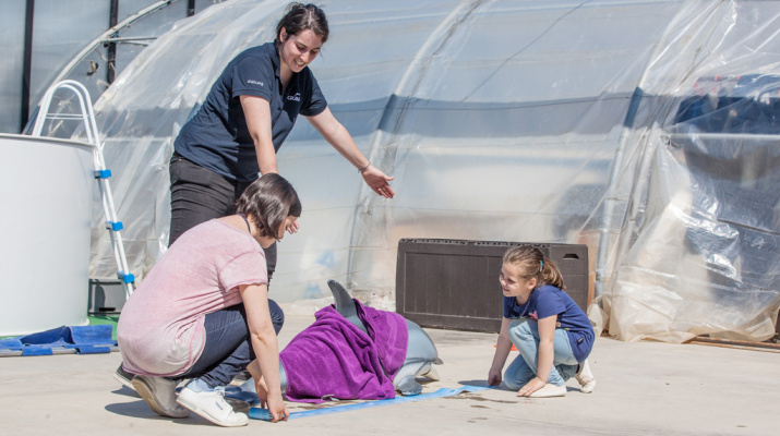 Un nen simula donar medicaments a un dofí