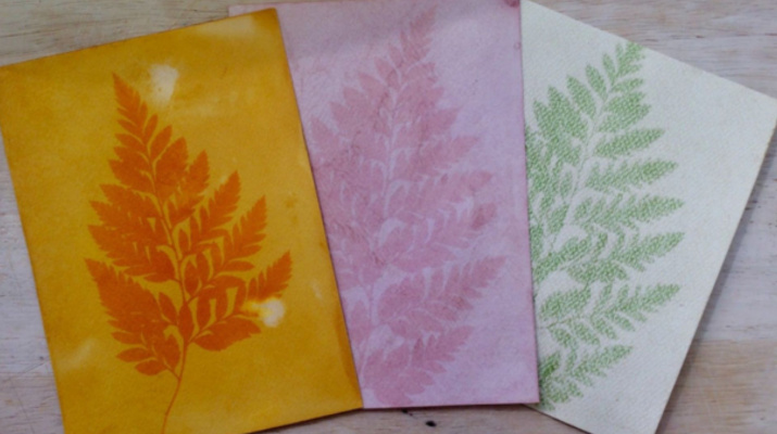 fotogrames alternatius