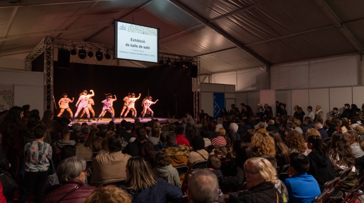 Activitat a la Sala d Activitat a la Sala d