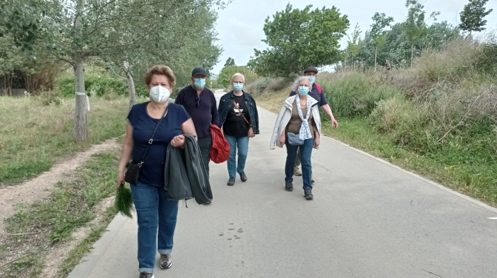 Passejades de Proximitat Passejades de Proximitat