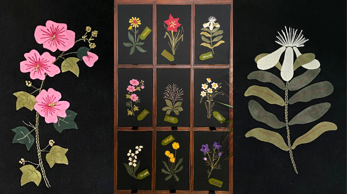 Brodem un herbari! Brodem un herbari!