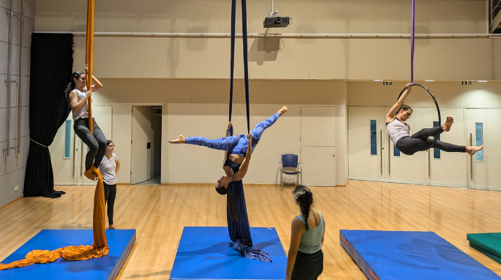 Tastet de circ juvenil aeris Tastet de circ juvenil aeris