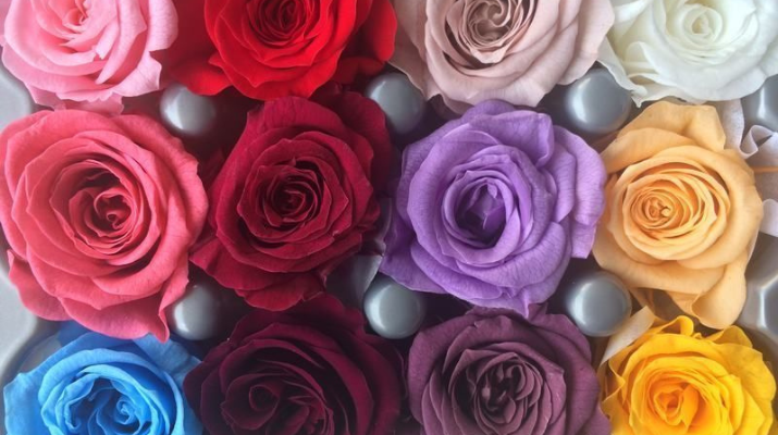 Conservem la bellesa de les roses Conservem la bellesa de les roses