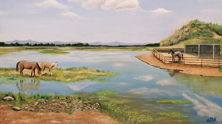 Ampliem el Ampliem el