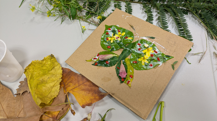 Al Refugi: Dibuixos amb elements naturals Al Refugi: Dibuixos amb elements naturals