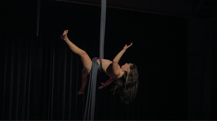 Festival de Circ Festival de Circ