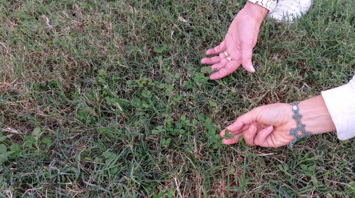 Terra de canvi Terra de canvi