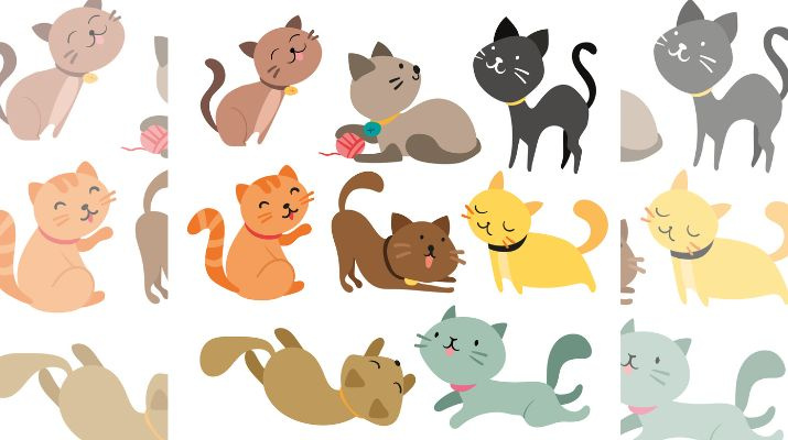 biblioteca_conte_gatetes biblioteca_conte_gatets