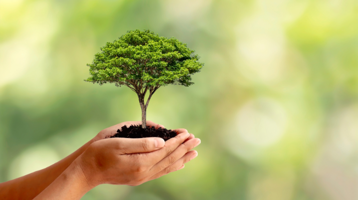 biblioteca_hora conte_ra contes biblioteca_hora conte_ra contes