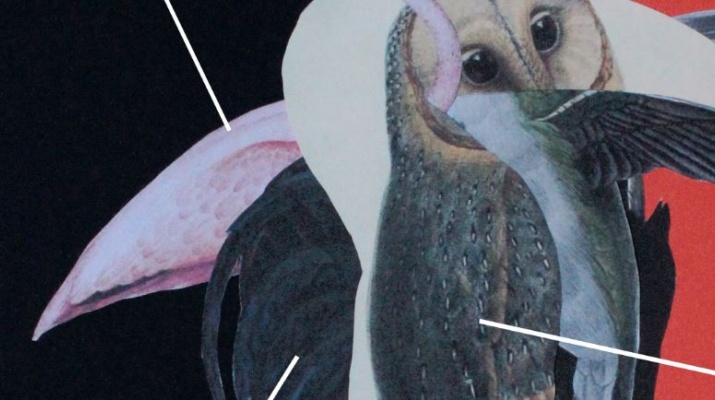 Convofest. Festa de la convocatòria /UNZIP 2019