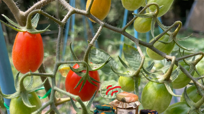 biblioteca_hora conte_avi