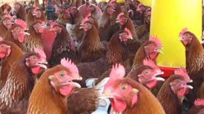 bibliioteca_hora nadons_contes_bec bibliioteca_hora nadons_contes_bec