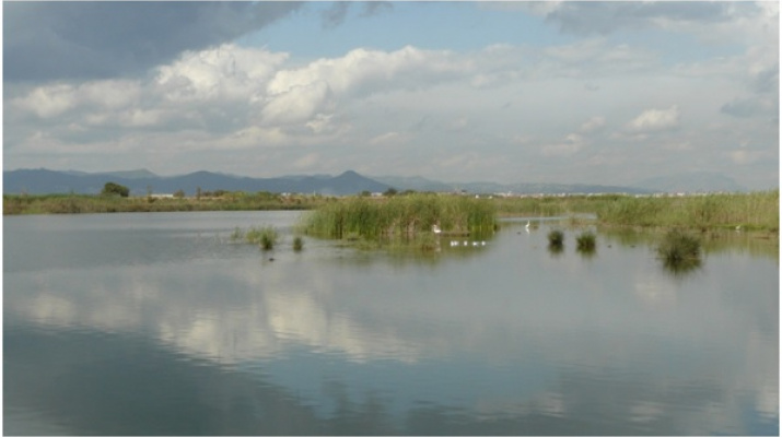 Espais Naturals del Riu (El Prat de Llobregat)