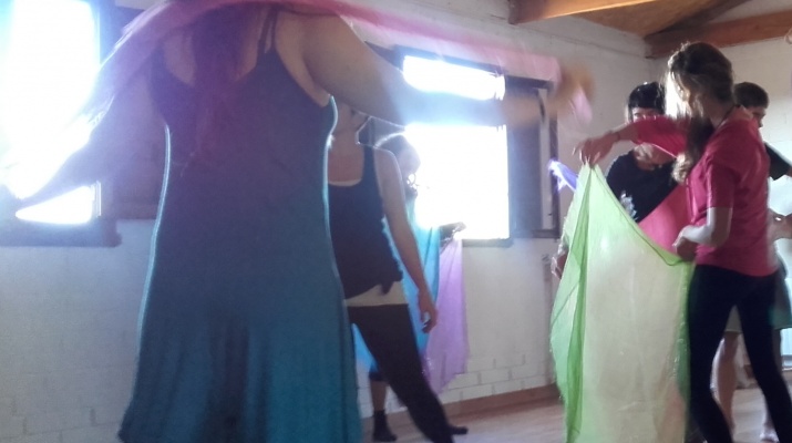 Dansa vital per a embarassades Dansa vital per a embarassades