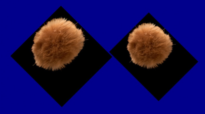 biblioteca_conte_hora peluda biblioteca_conte_hora peluda