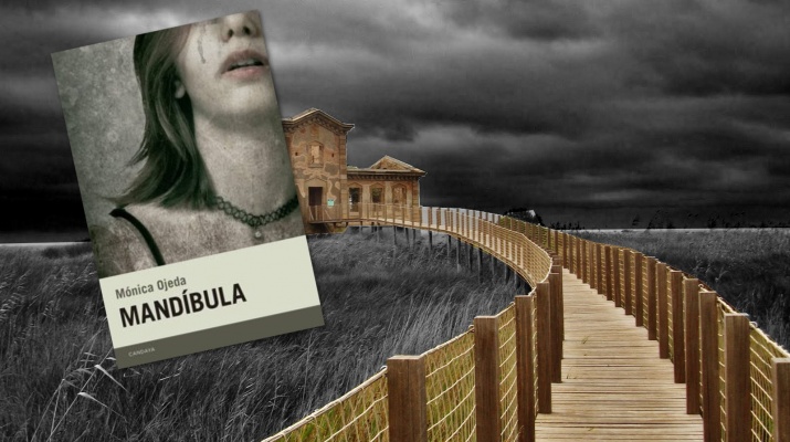 cl novel·la negra