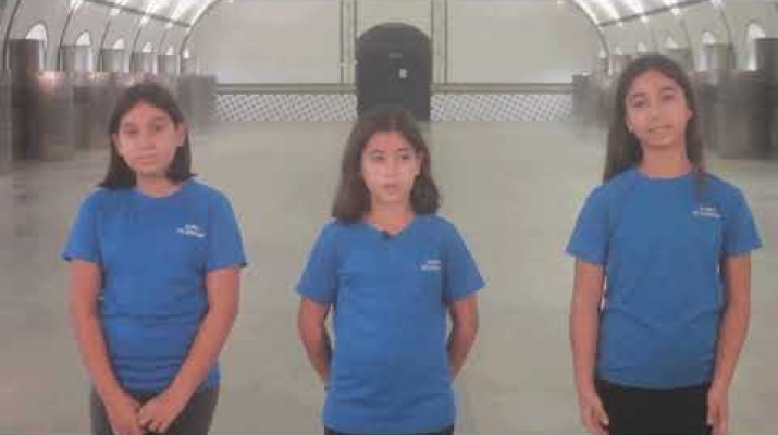 Club Patinatge Artistic Sagnier - 47a Fira Avícola Raça Prat