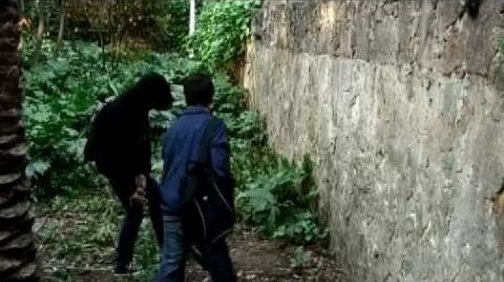 Article 40. "Grafits amb permís"