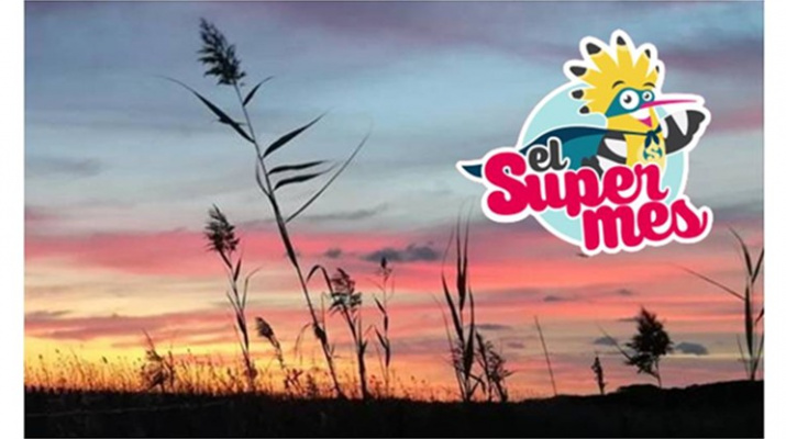 Nit de jocs familiar al delta