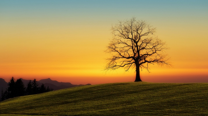 Fotografiem la tardor Fotografiem la tardor