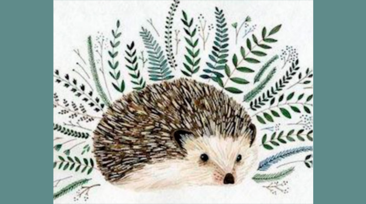 El petit eriçó