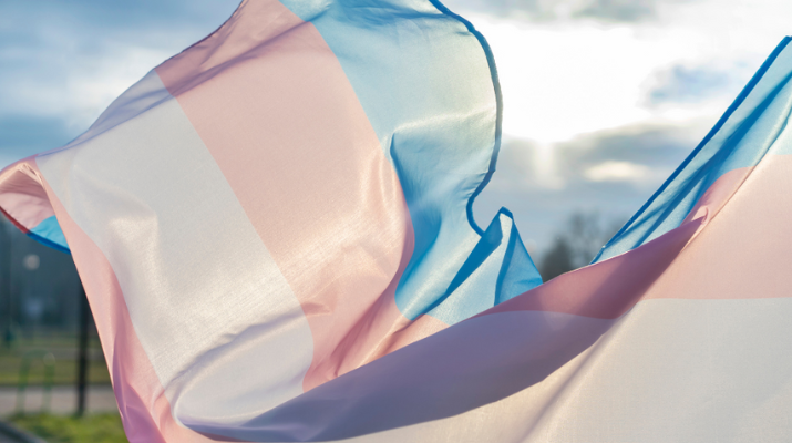 DIA DE LA VISIBILITAT TRANS AL PRAT DIA DE LA VISIBILITAT TRANS AL PRAT