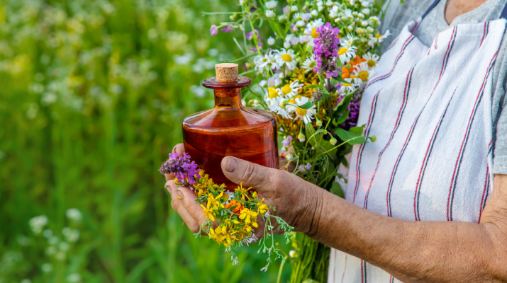la ciència dels remeis la ciència dels remeis
