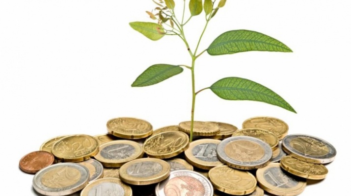 redaccióprojectes2019 redaccióprojectes2019