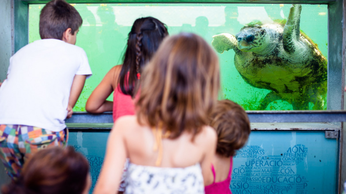 Visita guiada al CRAM