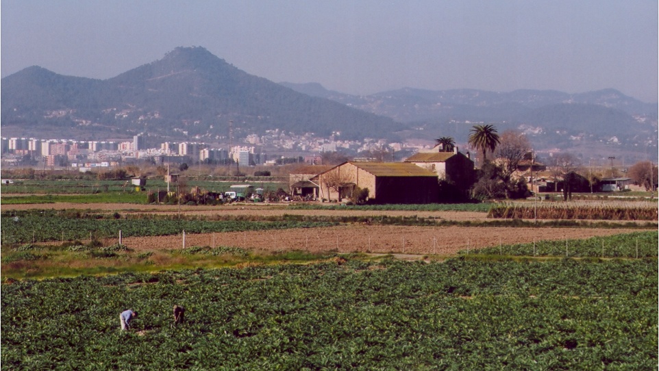 Parc agrari baix Llobregat