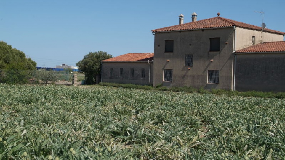Parc agrari baix Llobregat