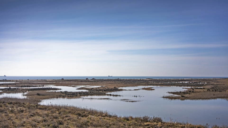 mirador de la Desembocadura