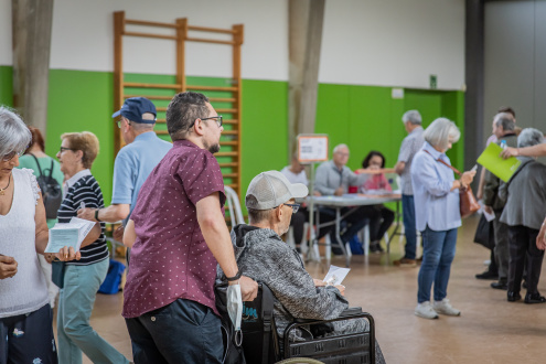 Eleccions mobilitat reduïda