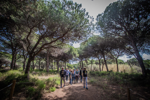 Visita guiada a la pineda de Can Camins