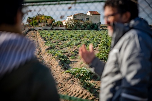 Visita guiada a la finca de la Marina