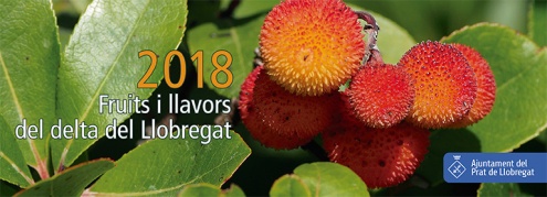 Calendari del Delta 2018