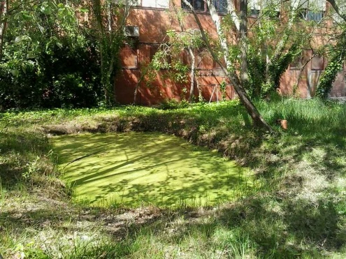 Bassa d'un institut.