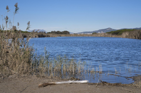 La Ricarda, en una imatge d'arxiu.