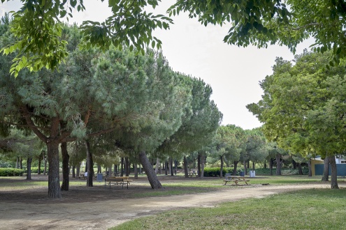 Parc Nou