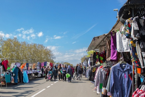 mercadet sant cosme .jpg