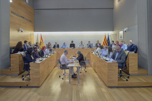 Ple municipal febrer 2025