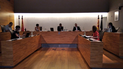 Ple amb el suport de mitjans telemàtics de juny de 2020