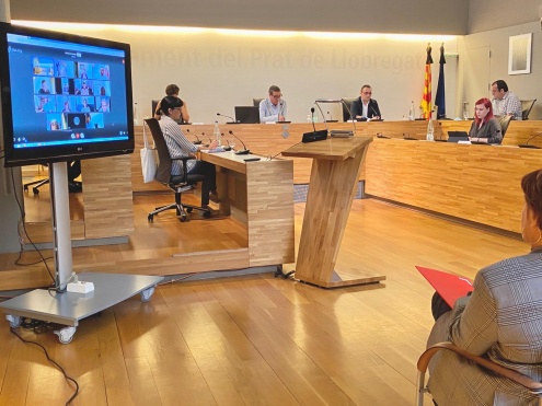 Pacte Local Ocupació Activitat Econòmica